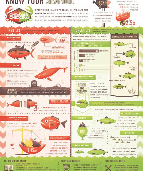 What You Eat Affects Our Oceans