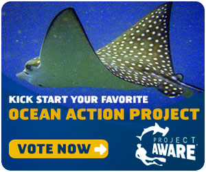 ProjectAWARE Ocean Action Project