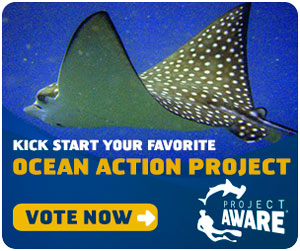 Project AWARE Ocean Action Project