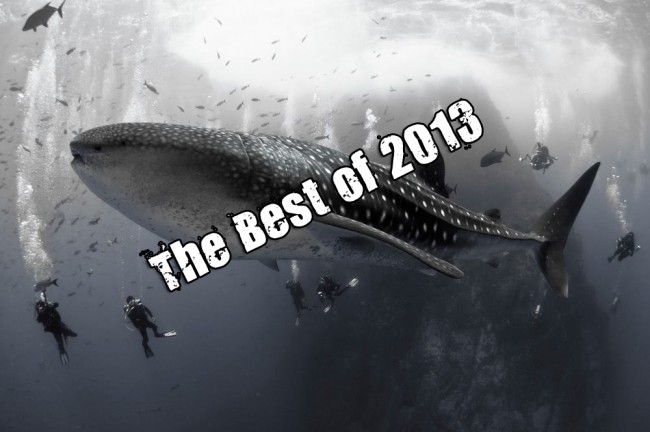 5 of your favourite Scuba Shots from 2013