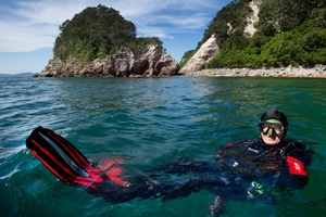 Darrell Bird from Dive Zone Whitianga