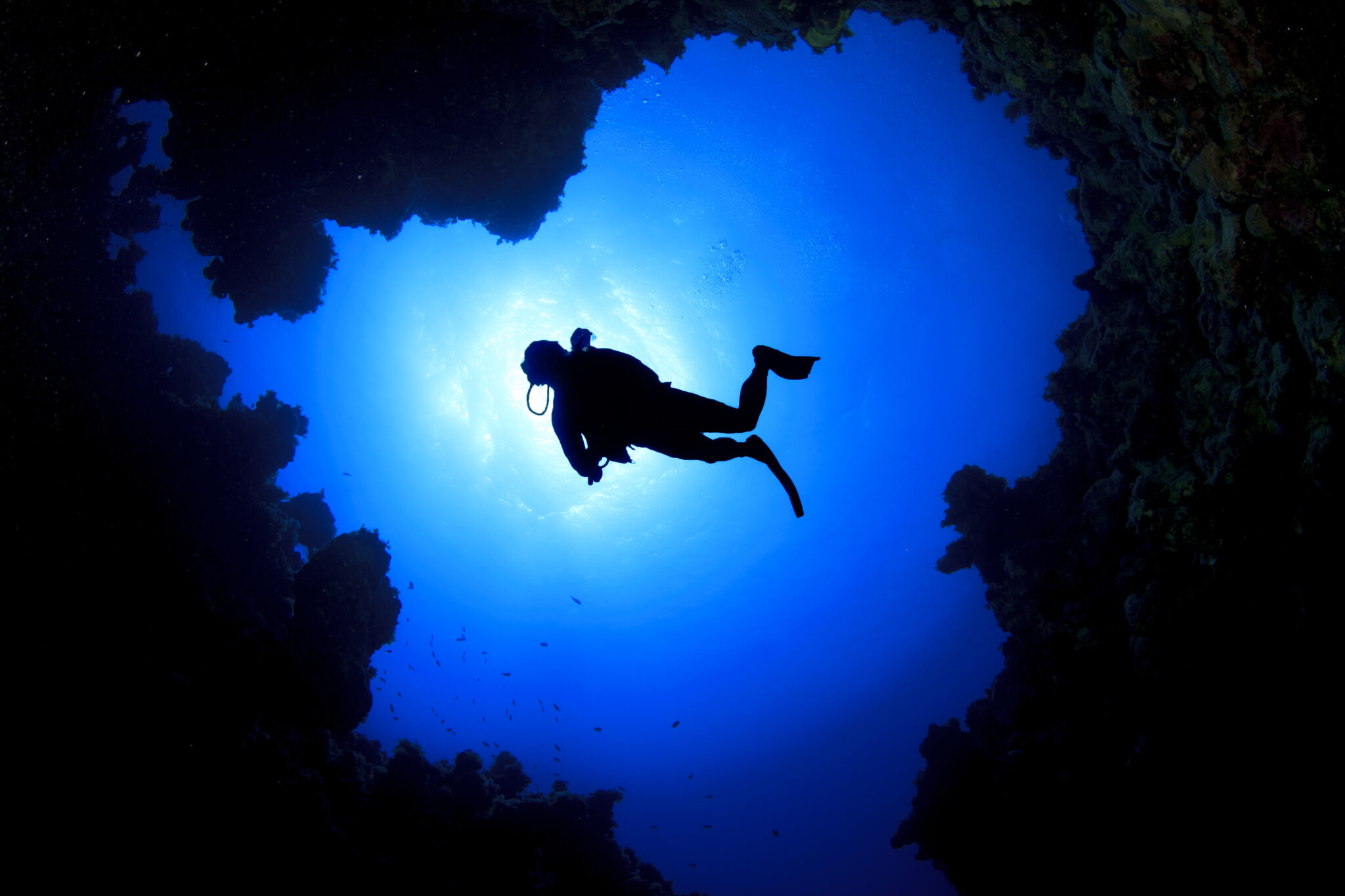 A diver swims near a cave, an experience many enjoy when diving at Great Basses Reef, one of the best Sri Lanka dive sites