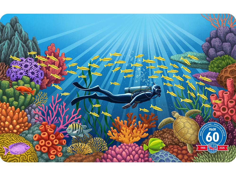 Among the Coral Gardens certification card