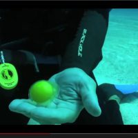 What happens when you crack an egg underwater