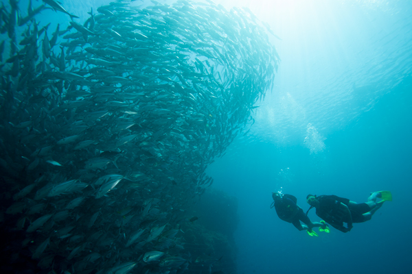The great underwater migration