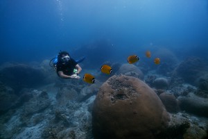 Manu Underwater