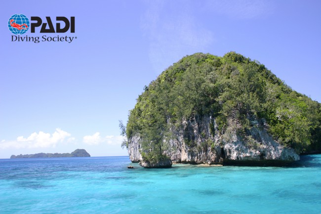 PADI Diving Society’s Ocean Safari: The Philippines
