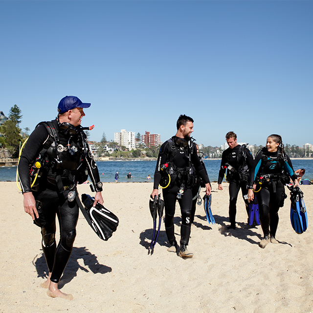 divers-beach