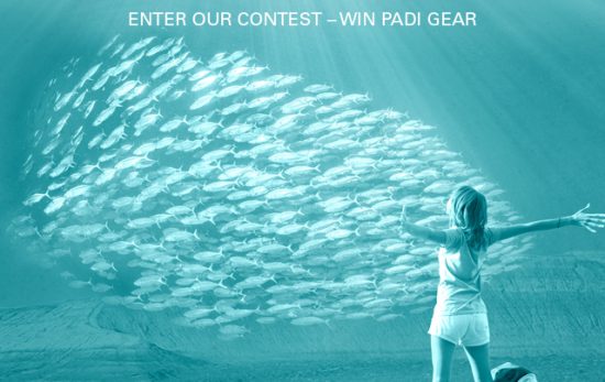 livetoscuba photo contest win PADI Gear