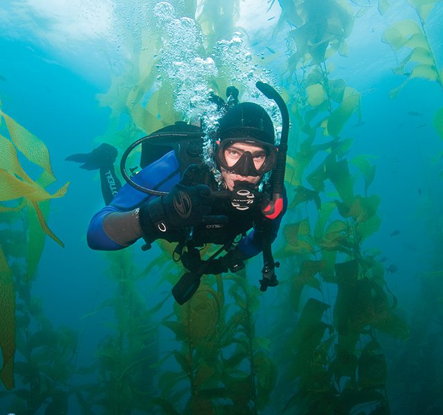 New Zealand – a unique experience for new divers