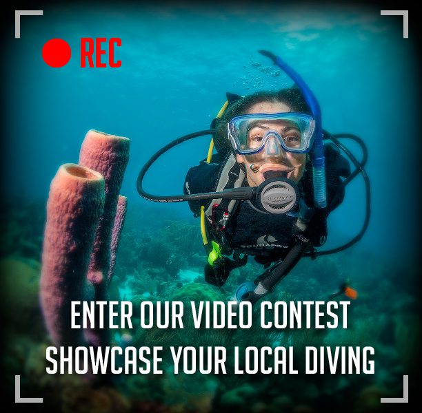 Showcase Your Local Diving – Video Contest