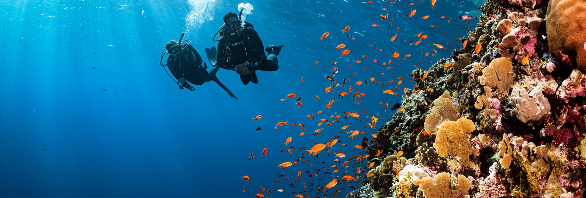 How a Husband and Wife Find Refuge as Rescue Divers