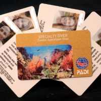 PADI Zombie Specialty card