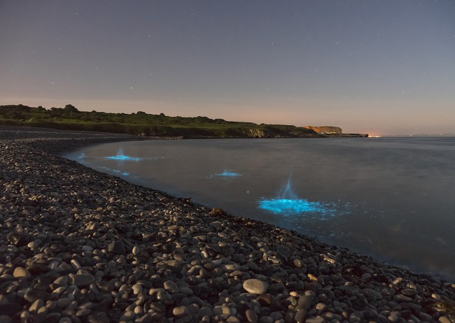 Best destinations for bioluminescence