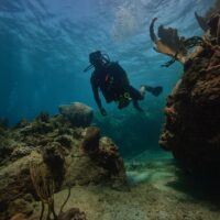 A male scuba diver explores a coral reef in St. Lucia