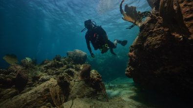 A male scuba diver explores a coral reef in St. Lucia