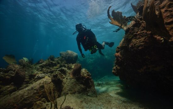 A male scuba diver explores a coral reef in St. Lucia