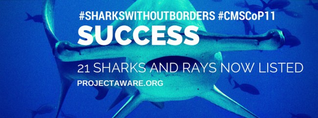 Historic Advances in International Shark and Ray Conservation