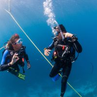 Bonaire - Descent - Buddy - Diving Buddy - PADI