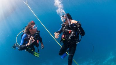 Bonaire - Descent - Buddy - Diving Buddy - PADI