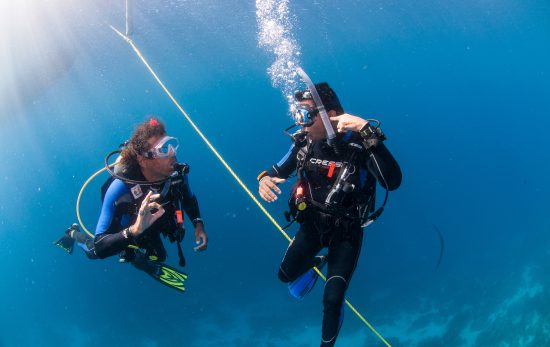 Bonaire - Descent - Buddy - Diving Buddy - PADI