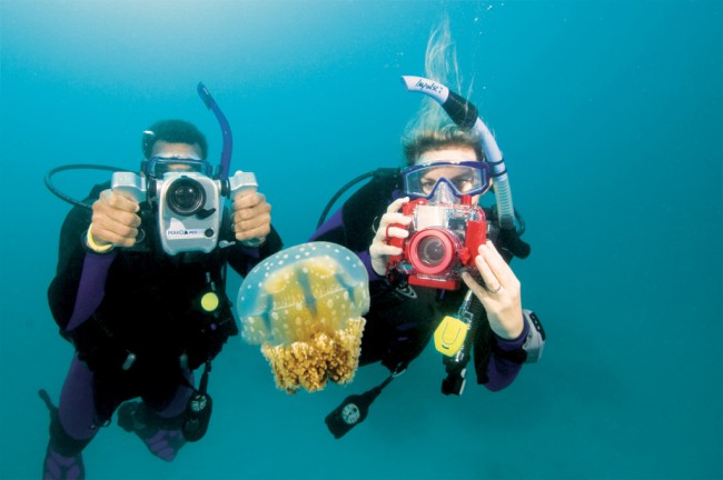 scubadiving Archives - Scuba 10