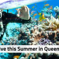 Learn to dive QLD