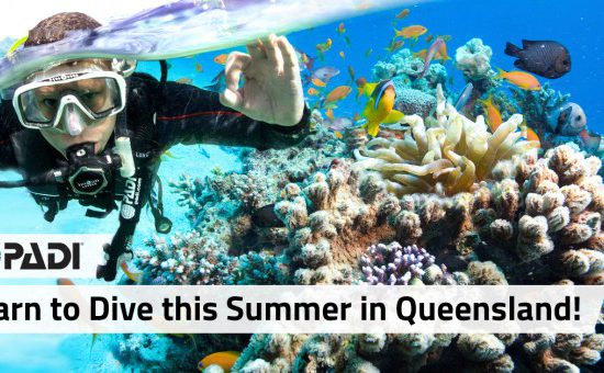Learn to dive QLD