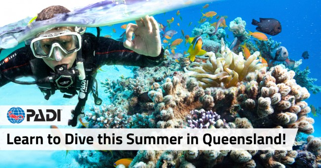 Get Your PADI in Queensland this Summer