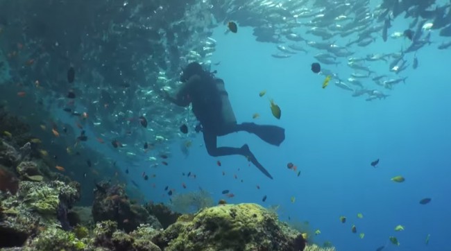 Showcase Your Local Diving – Contest Winners