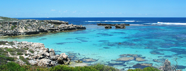 rottnest island