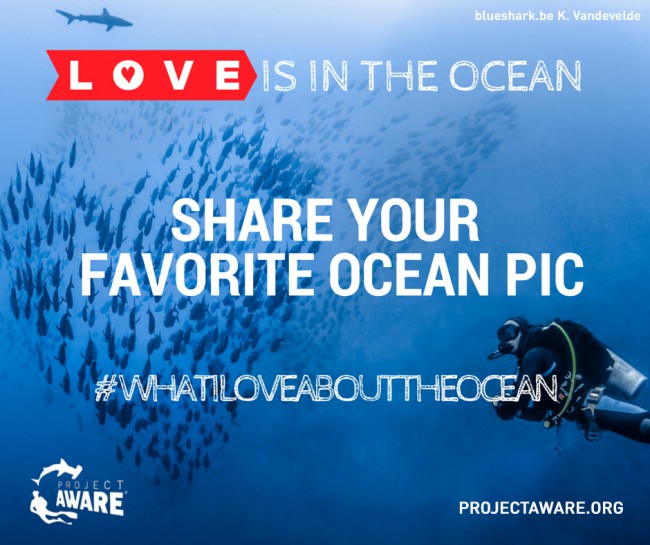 Feel the Ocean Love this Valentine’s Day with Project AWARE
