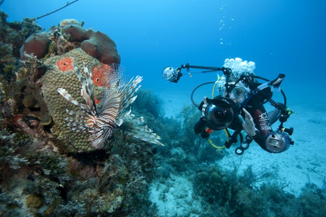 6 Questions to Ask Before Taking Up Underwater Photography