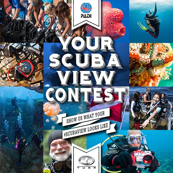 Your Scuba View PADI Photo Contest