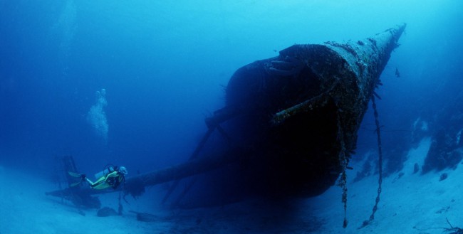 Join the PADI Diving Society in Bonaire | Photo Credit: Tourism Corporation Bonaire (TCB)