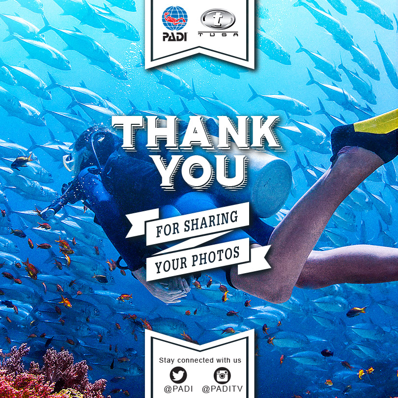 ScubaView_ThankYou2