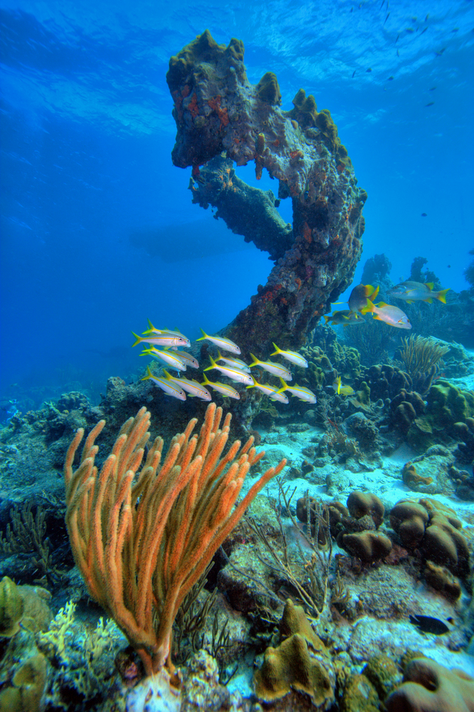 bonaire-caribbean