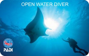 padi-dive-card-stephen-frink-manta-ray