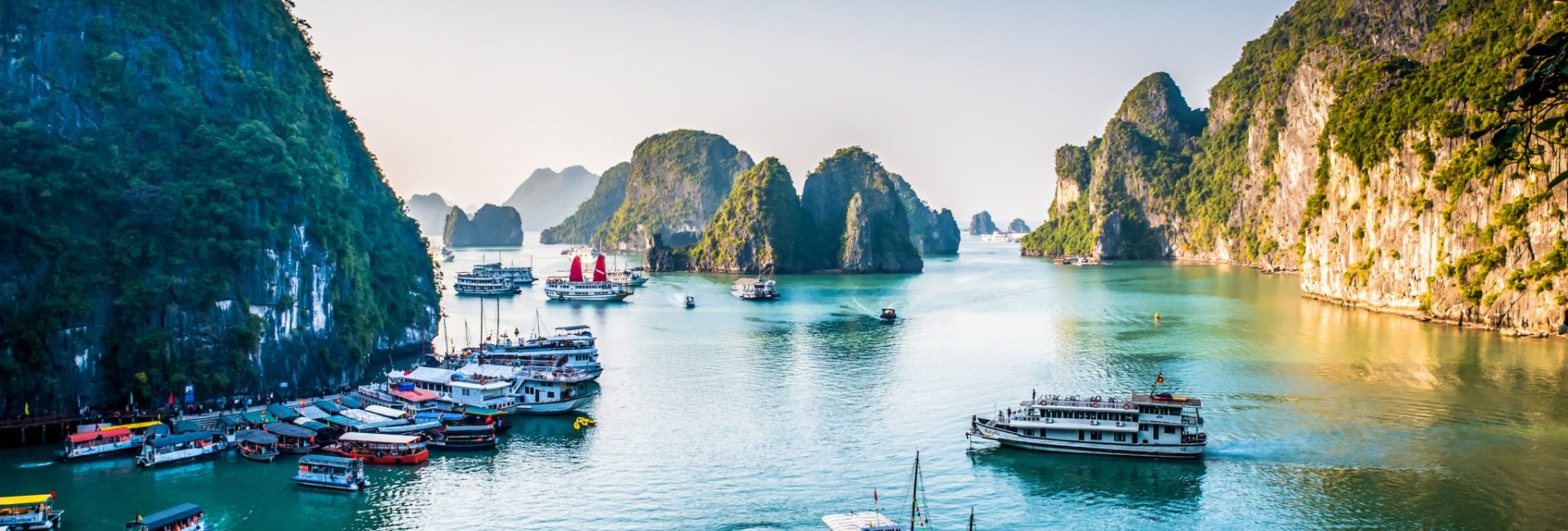Top Dive Sites in Vietnam