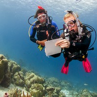 two-divers-underwater