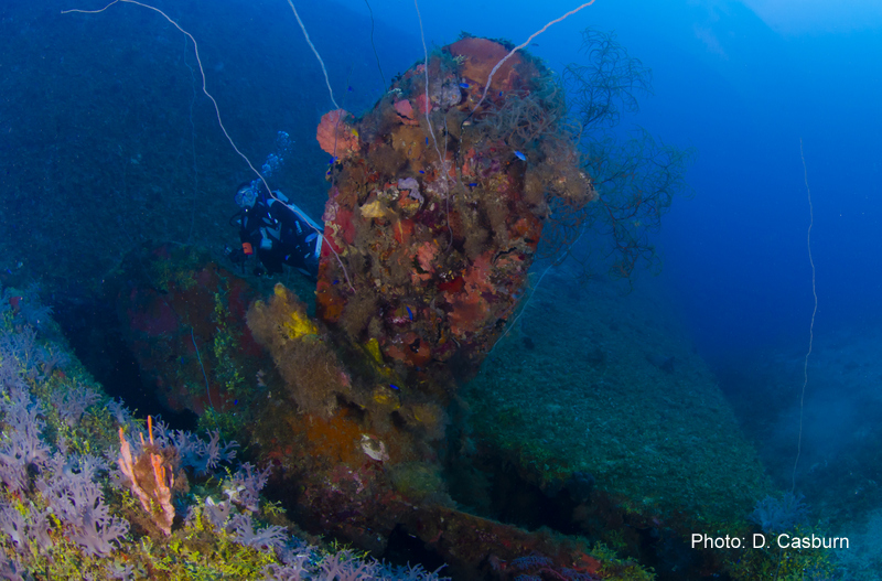 Momokawa Maru photo by D Casburn