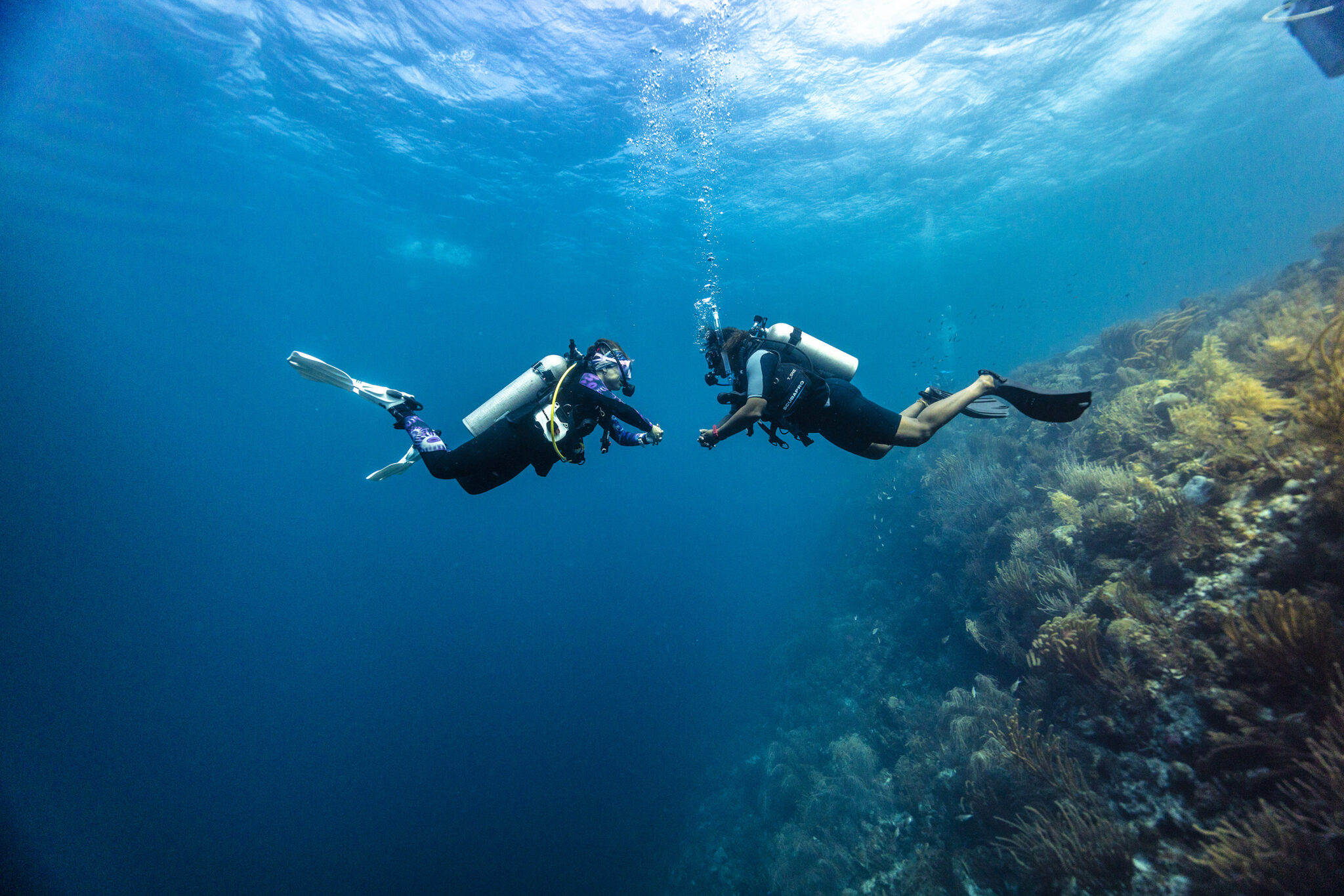 two scuba divers living the padi professional lifestyle