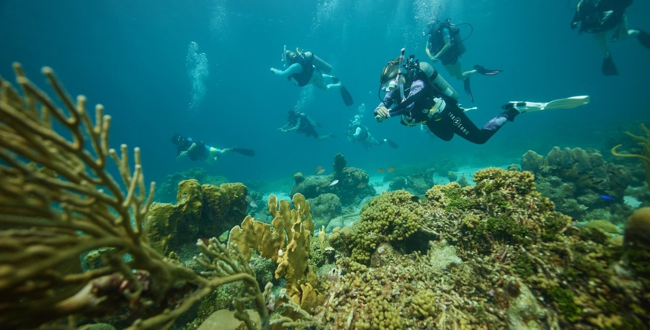 Why the Professional Diver Lifestyle is for You