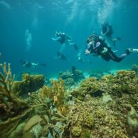 a group of scuba divers explore a coral reef in Curacao