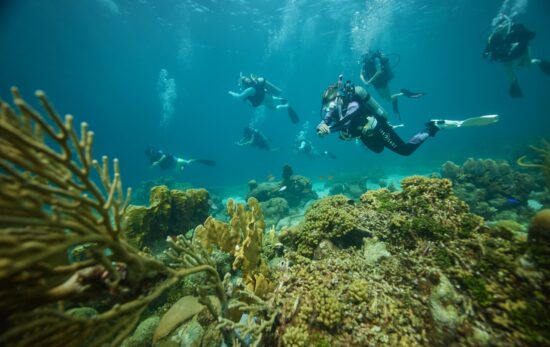 a group of scuba divers explore a coral reef in Curacao