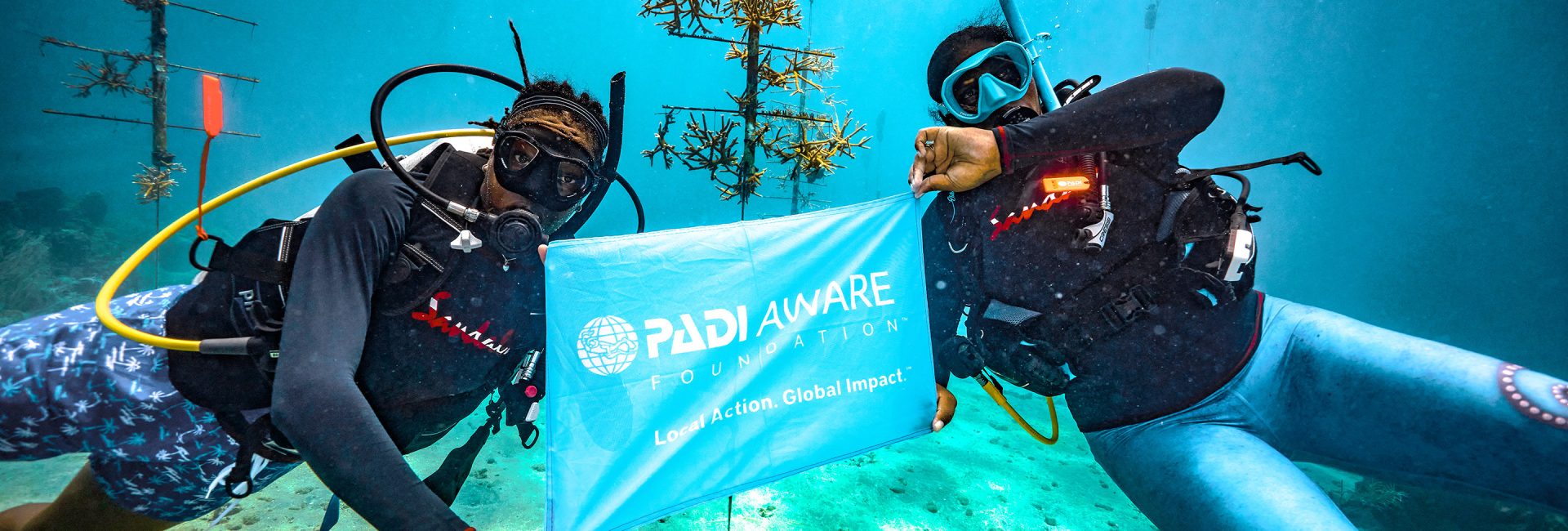 Dive With Purpose: How To Choose (and Join) a 100% AWARE Dive Center