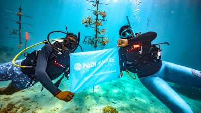 Two divers underwater in front of some coral restoration trees holding a PADI AWARE flag