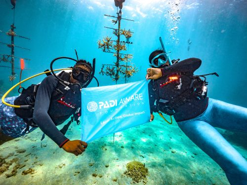 Two divers underwater in front of some coral restoration trees holding a PADI AWARE flag