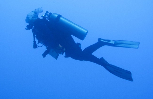 Interview with Gretchen Ashton, a Champion for Women and the Sport of Diving