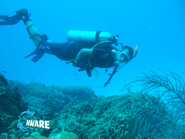 Win a Dive Expedition in the Seychelles, Mexico or Fiji